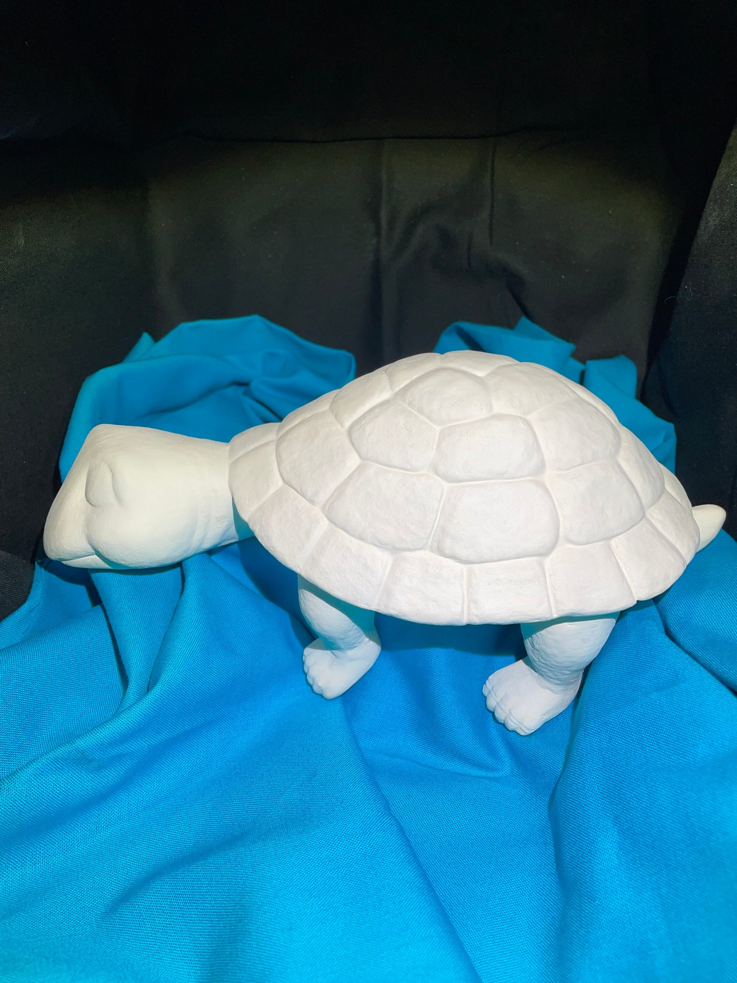 Large Shelf Turtle Ceramic Bisque