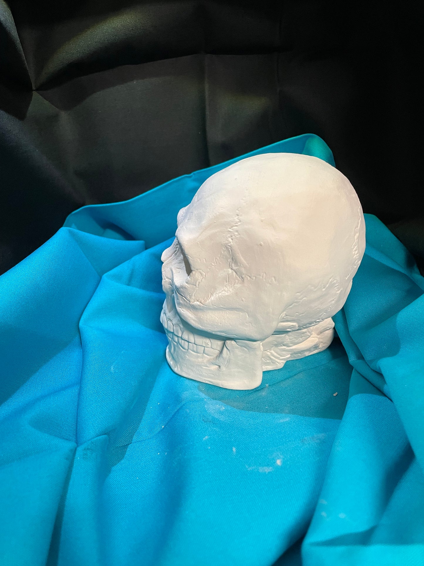 Skull Ceramic Bisque