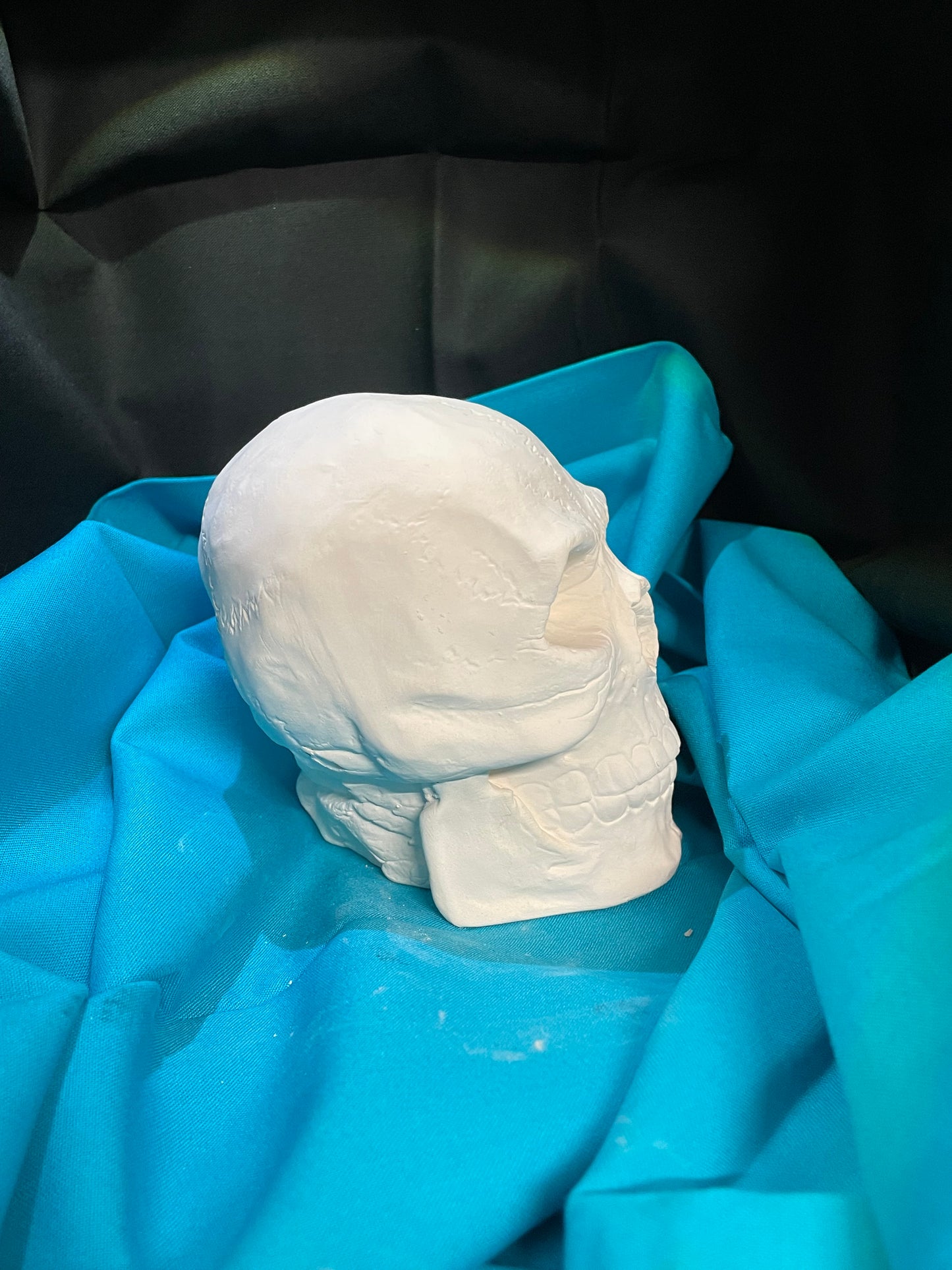 Skull Ceramic Bisque