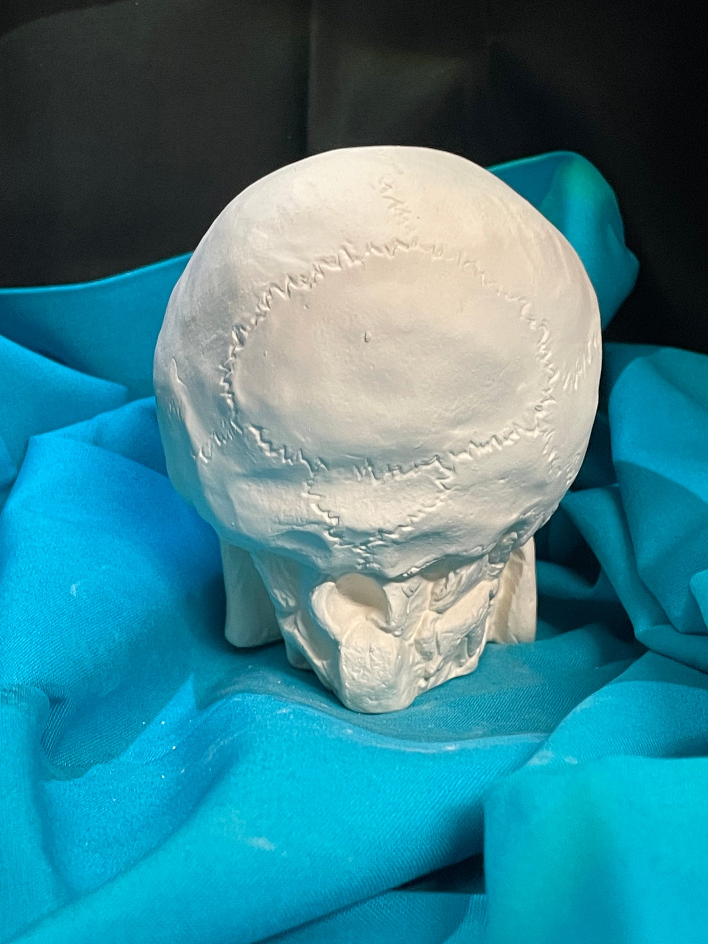 Skull Ceramic Bisque