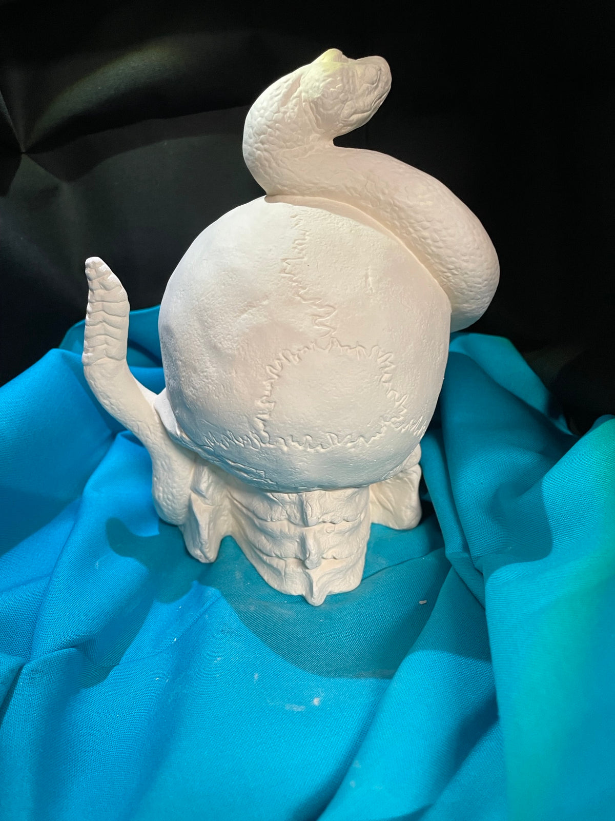 Skull W/Wrapping Snake