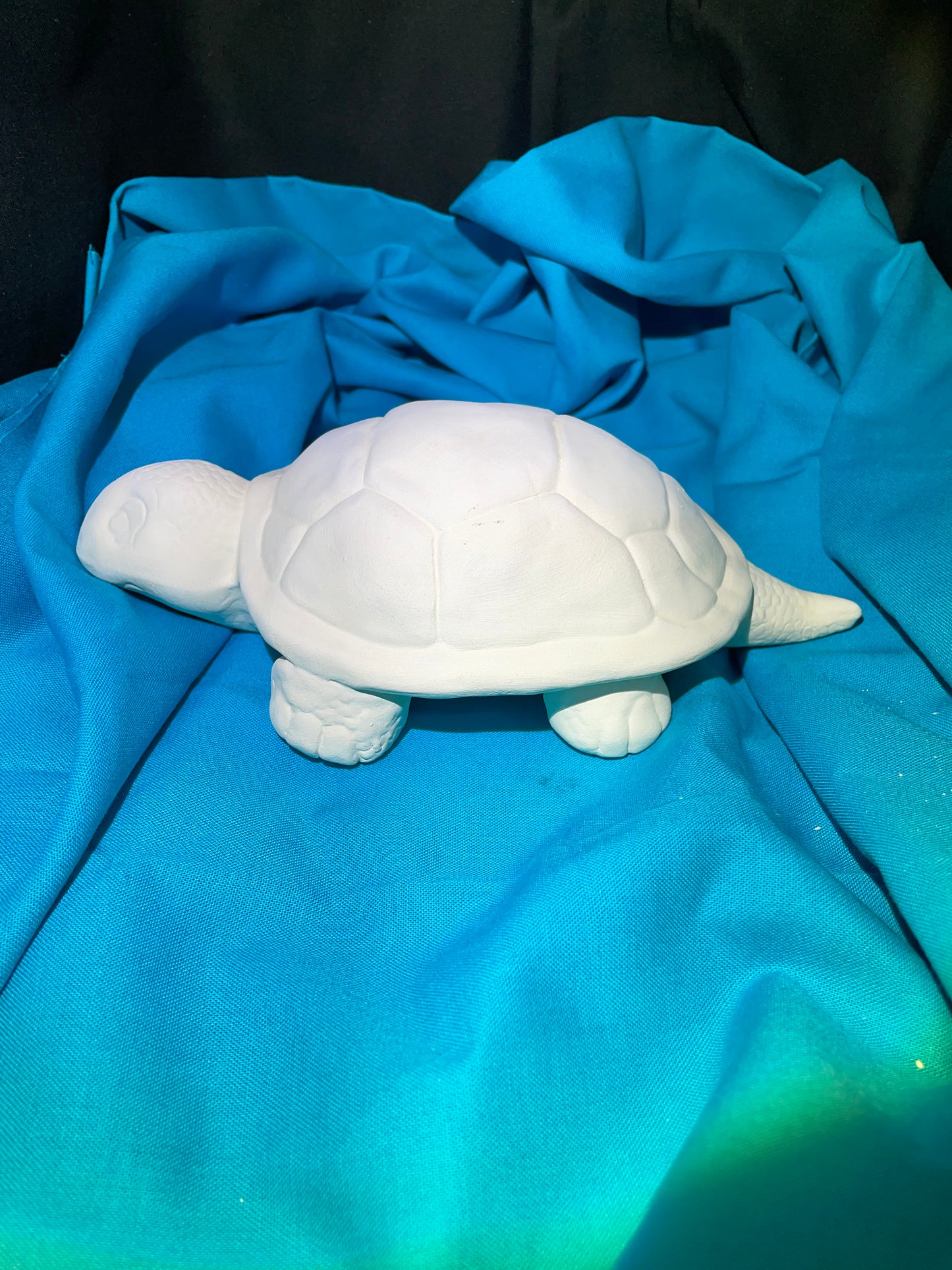 Turtle Ceramic Bisque