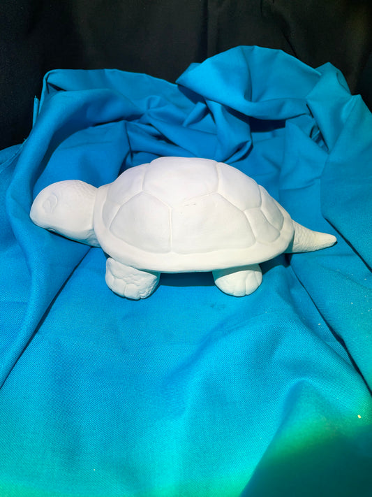 Turtle Ceramic Bisque