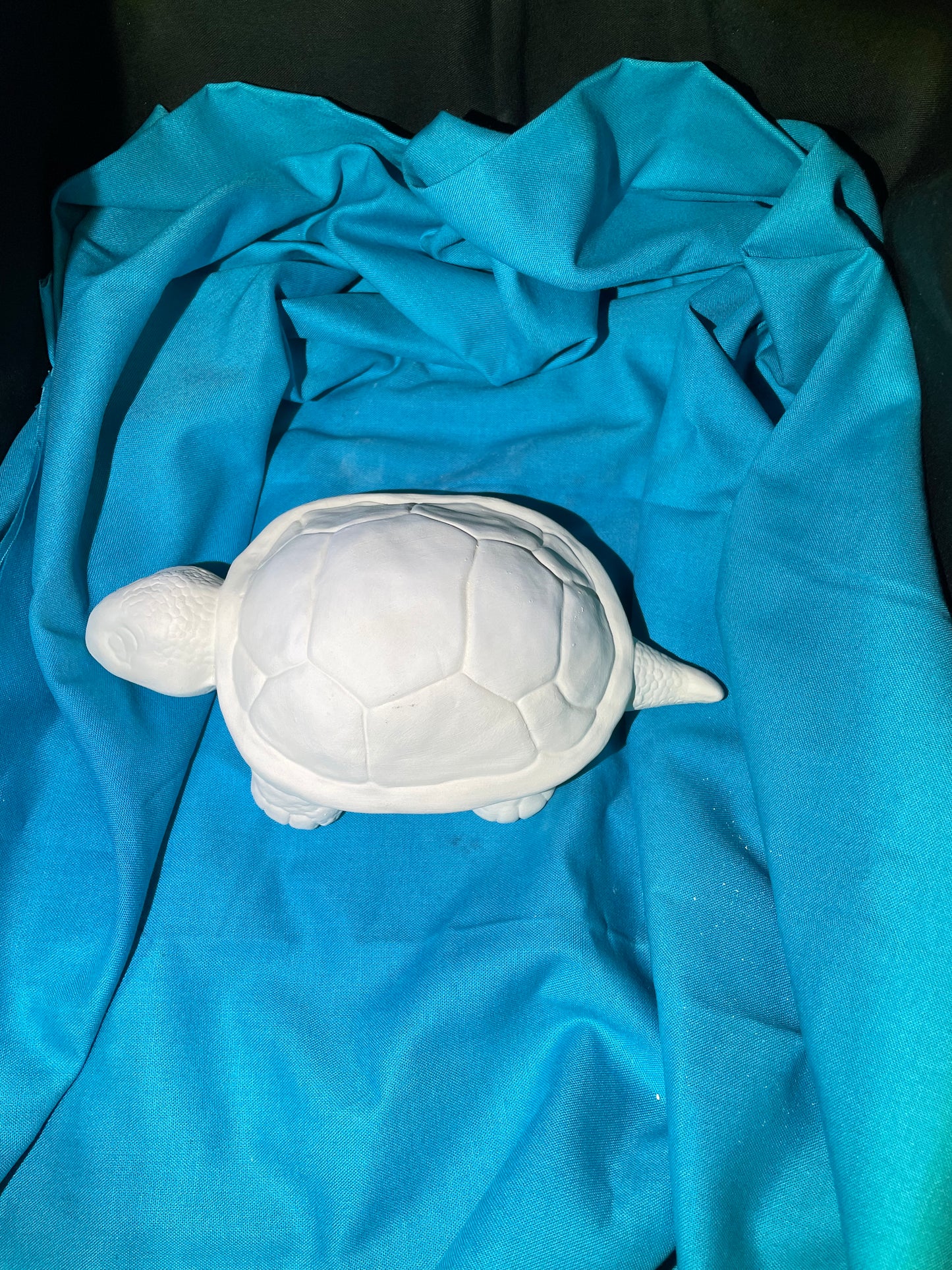Turtle Ceramic Bisque