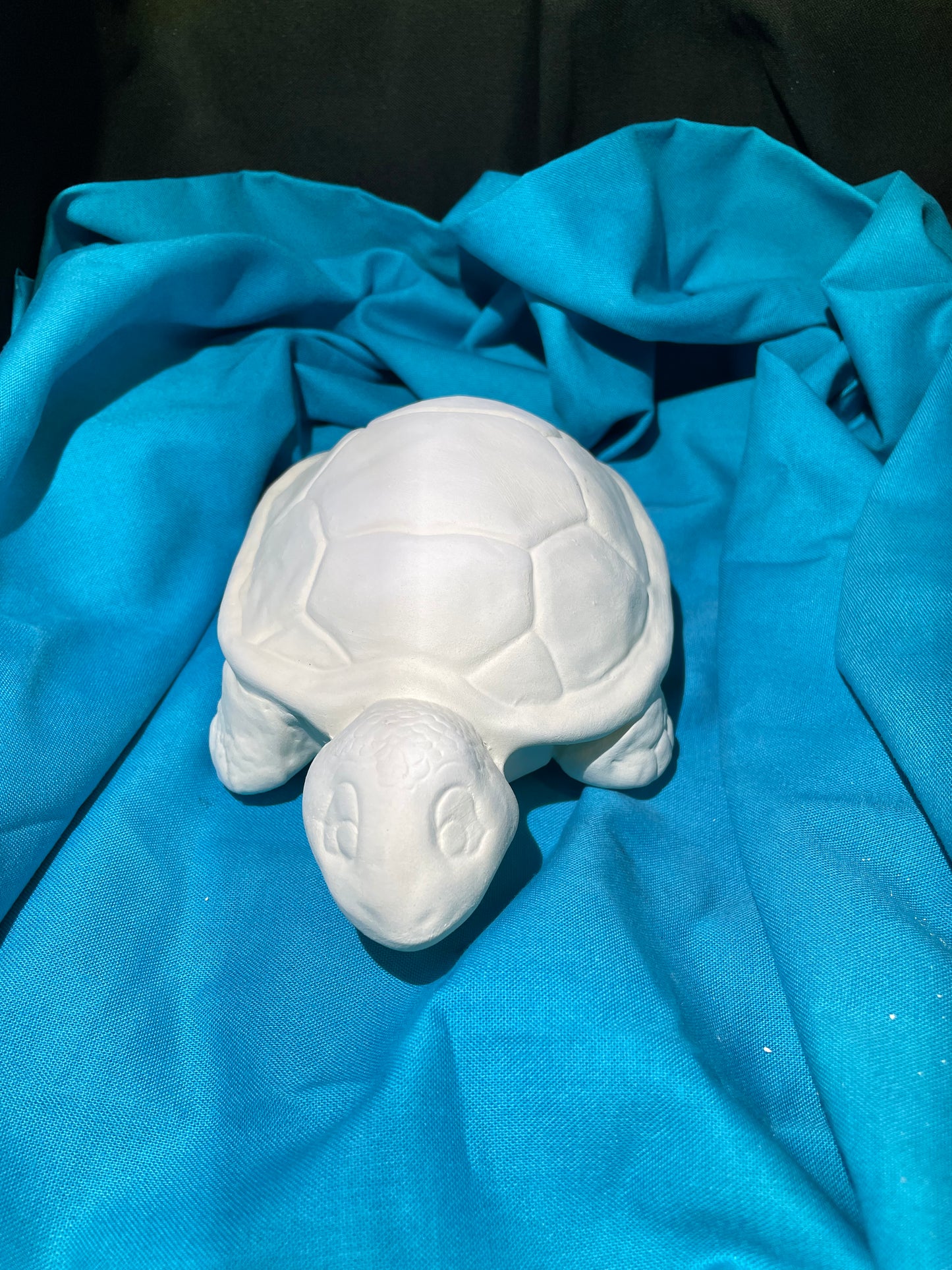 Turtle Ceramic Bisque