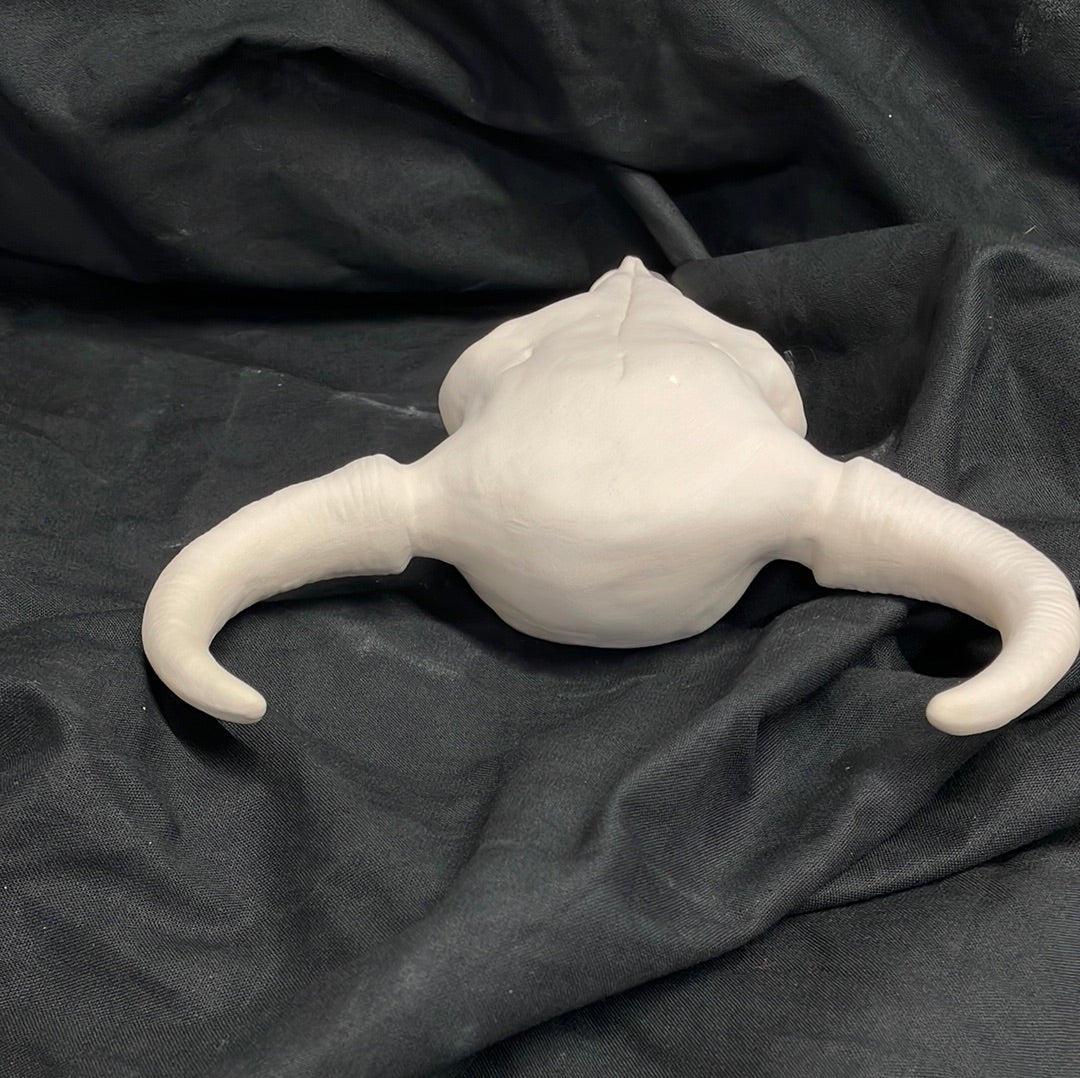 Large Bull Skull Ceramic Bisque