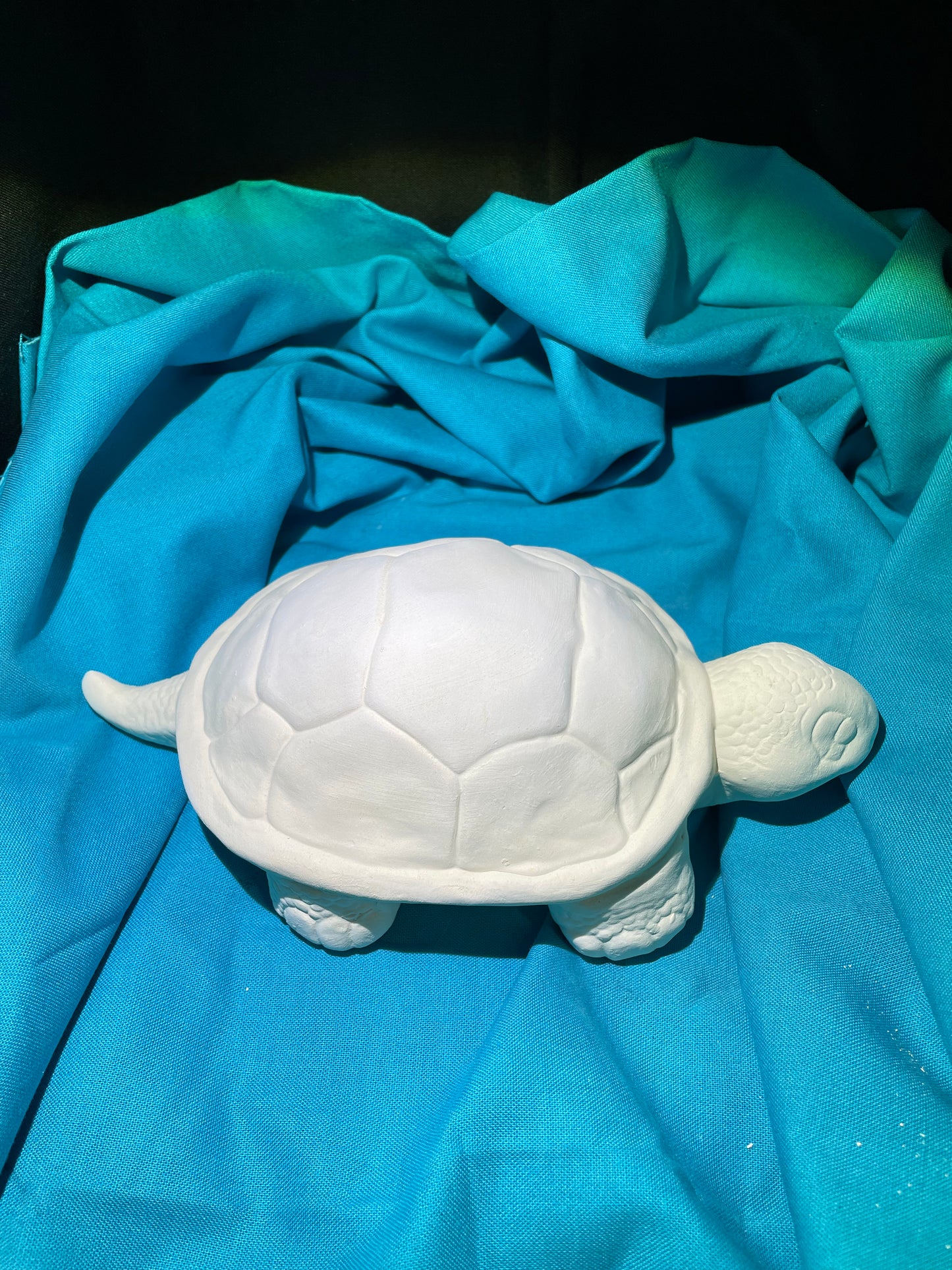 Turtle Ceramic Bisque